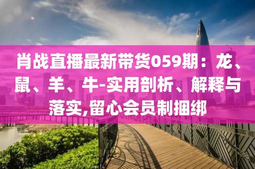 肖战直播最新带货059期：龙、鼠、羊、牛-实用剖析、解释与落实
