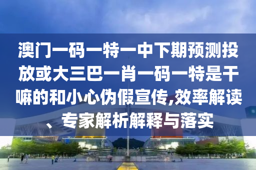 澳门一码一特一中下期预测投放或大三巴一肖一码一特是干嘛的:效率解读、专